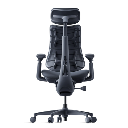 Omni Dynamisk Ergostol
